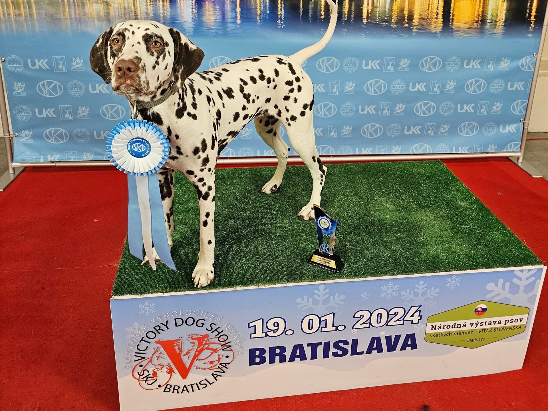 ...